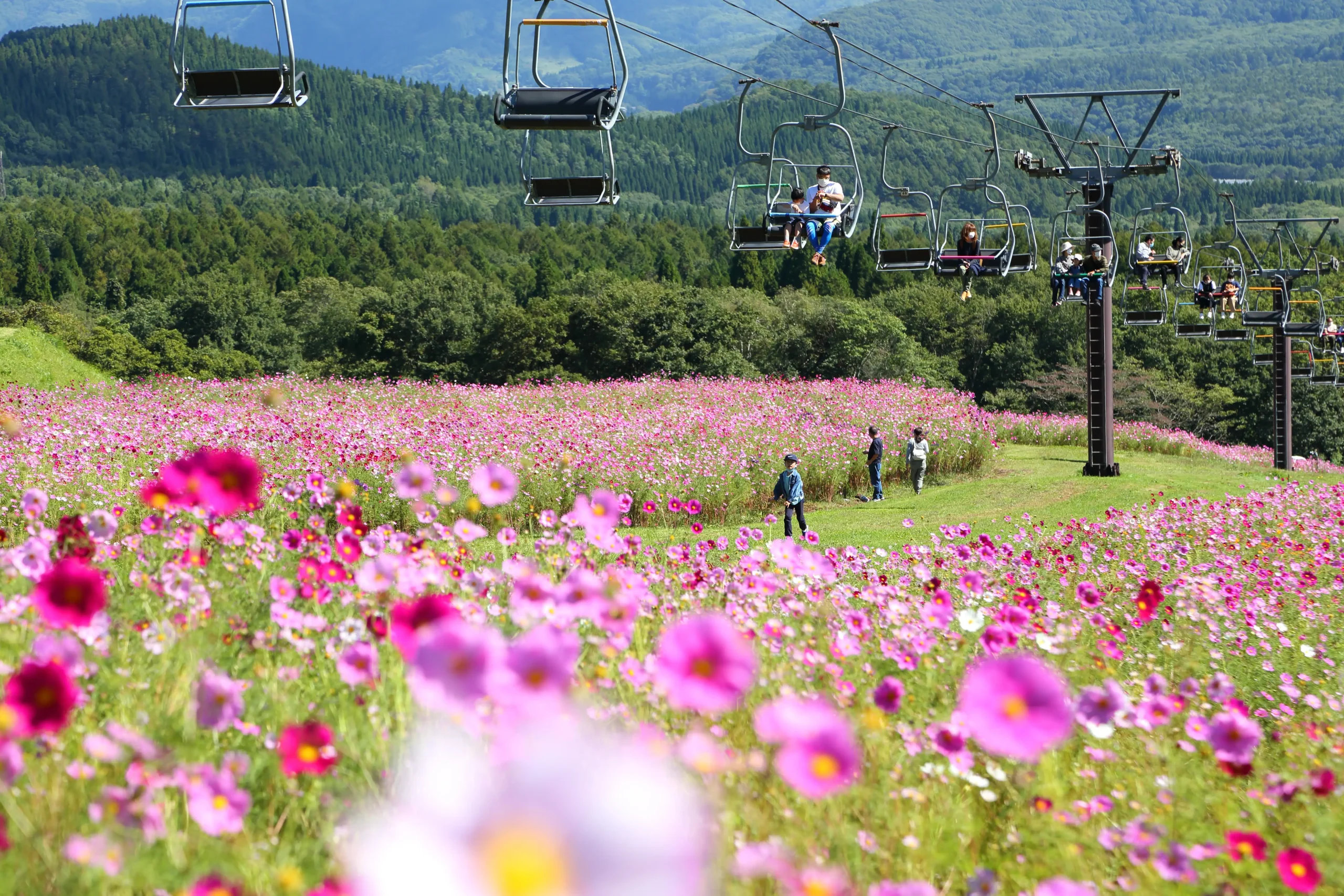 黒姫フラワーガーデン - 黒姫高原スノーパーク